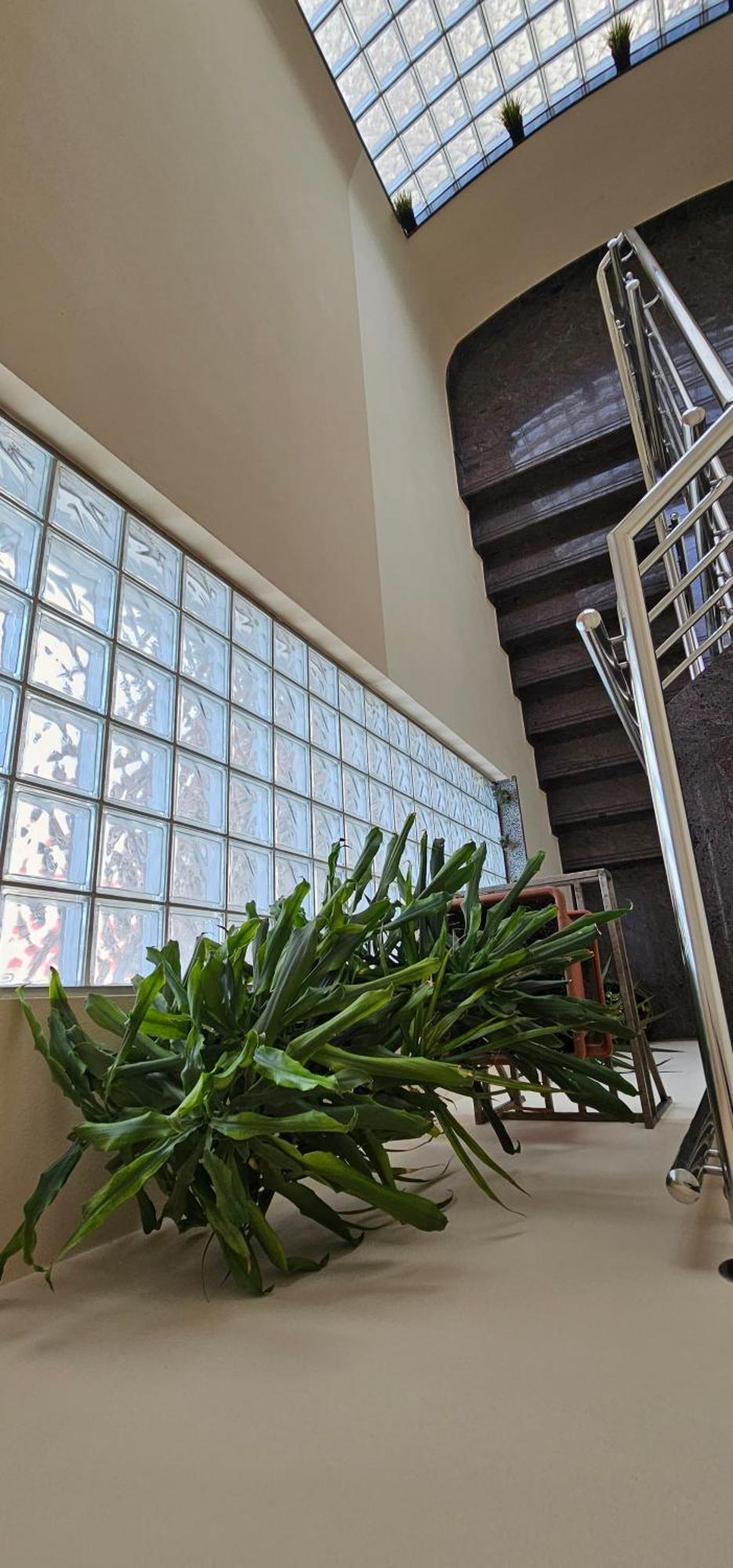 Sobe/Rooms Riva 扎达尔 外观 照片